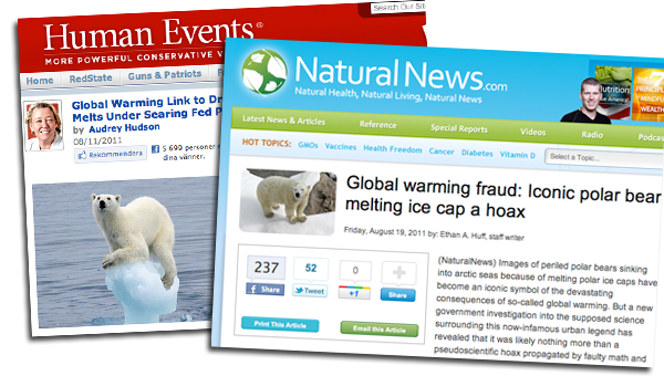 global warming polar bear melting ice cap