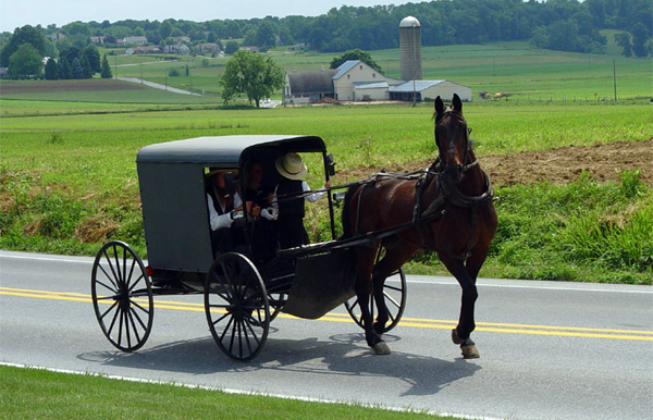 Amish