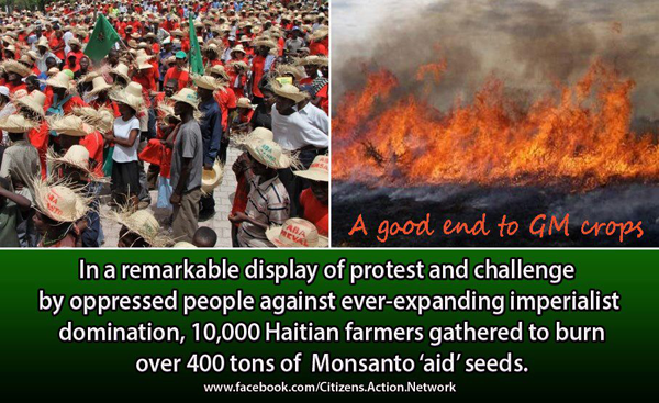 Monsanto Haiti