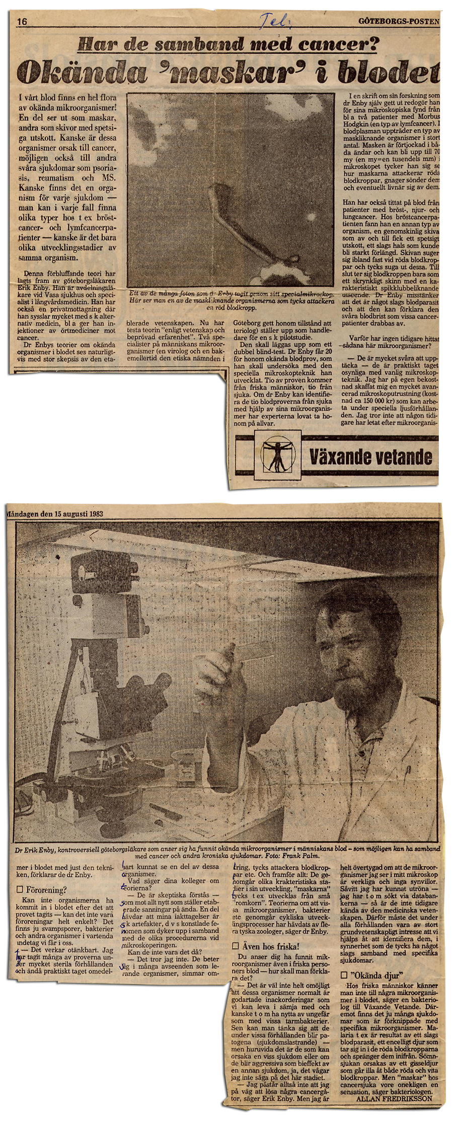 Erik Enby intervjuas om okända maskar/organismer i blodet - Göteborgsposten 15 aug 1983