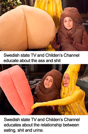 SVT-state-TV-educates