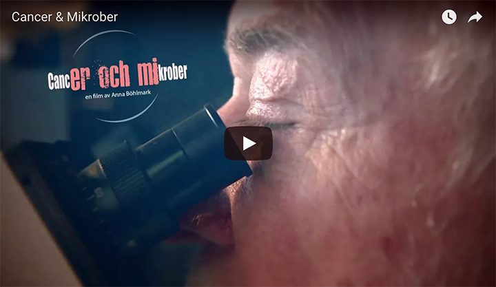 Film: Cancer & Mikrober - Se hela filmen på AlmaNova