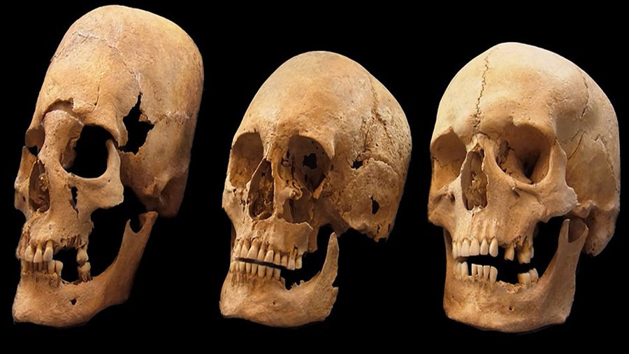 Elongated skulls mystery - Foto: pnas.org