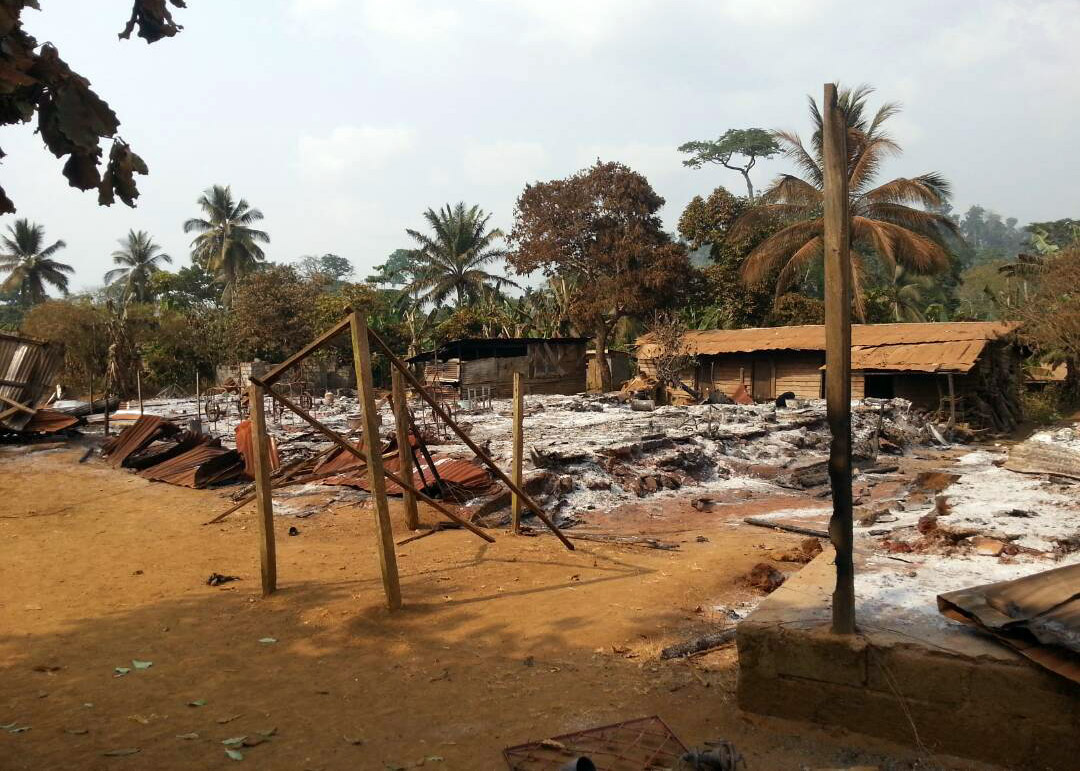 Civil war in Cameroon - Villages burnt down by the army - 40,000