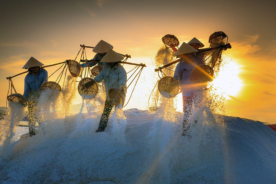 Bild: Skörd av havssalt i Vietnam. Foto: Quangpraha, licens CC0 1.0