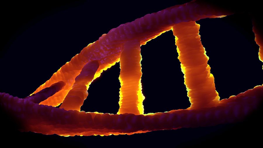 Epigenetik och DNA. Bild: Colin Behrens. Licens: CC0, Pixabay.com