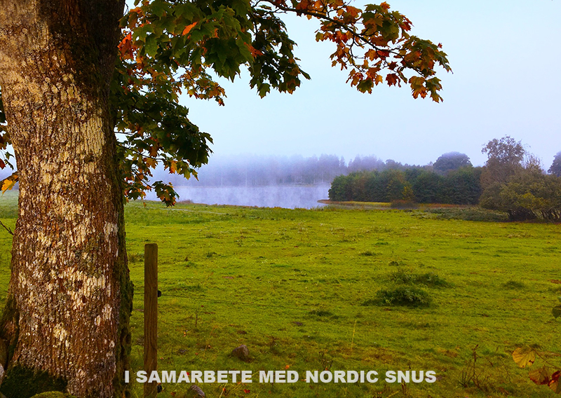 Höstbild - Artikel i samarbete med Nordic Snus