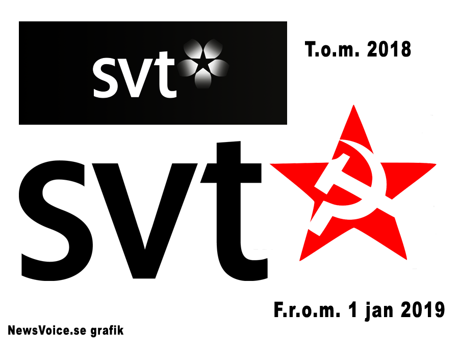 SVT logo 2019 - NewsVoice Grafik
