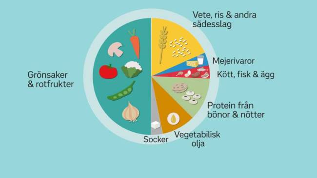 En ny kostcirkel från Eat Foundation ska rädda världen. Illustration: SVT 