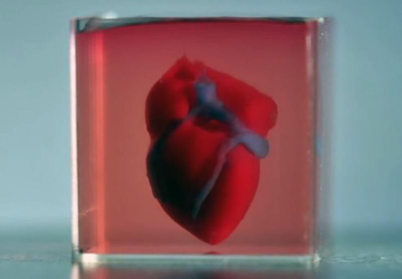 Printed 3D-heart. Image credit: AdvancedScience.com (Onlinelibrary.wiley.com)