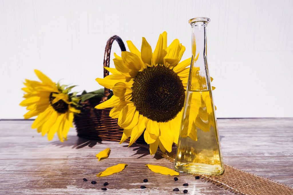 Sunflower oil solrosolja. Foto: Bruno Glatsch. Licens: Pixabay.com