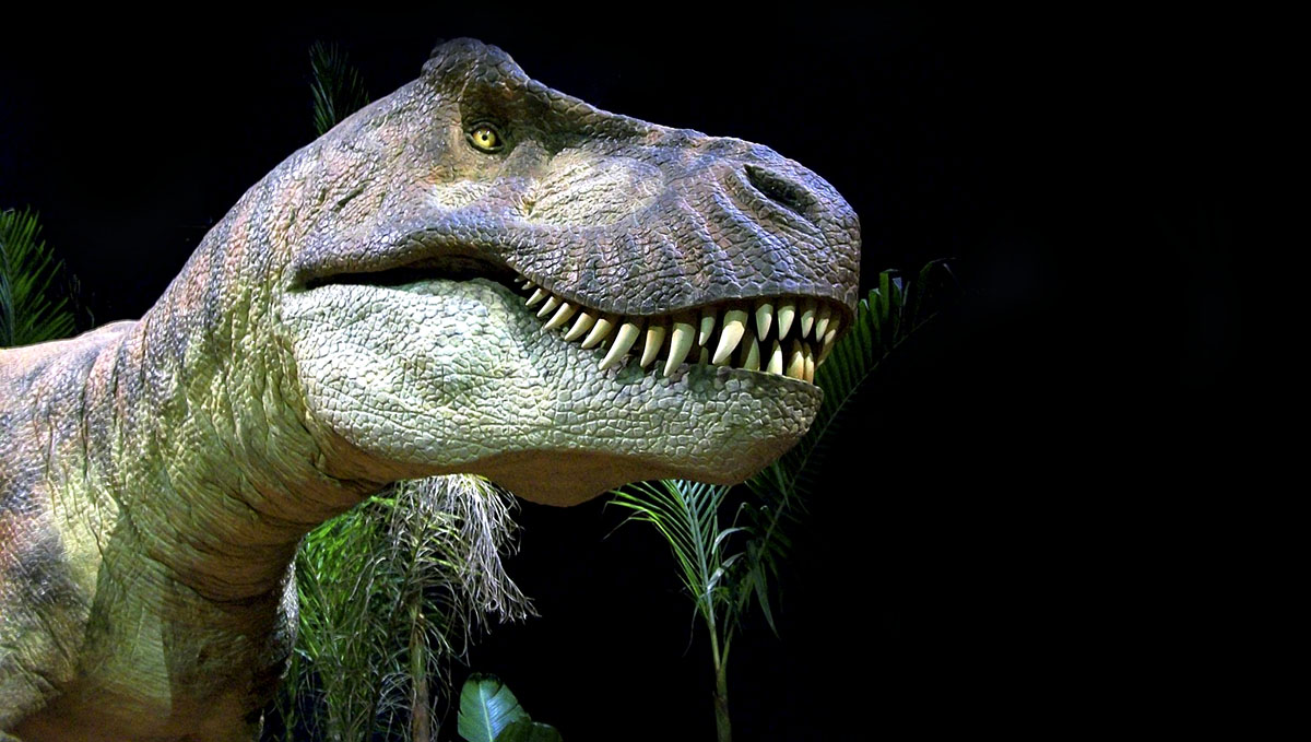 Tyrannosaurus Rex. Foto: Jim Tsorlinis. Licens: Pixabay.com (free use)