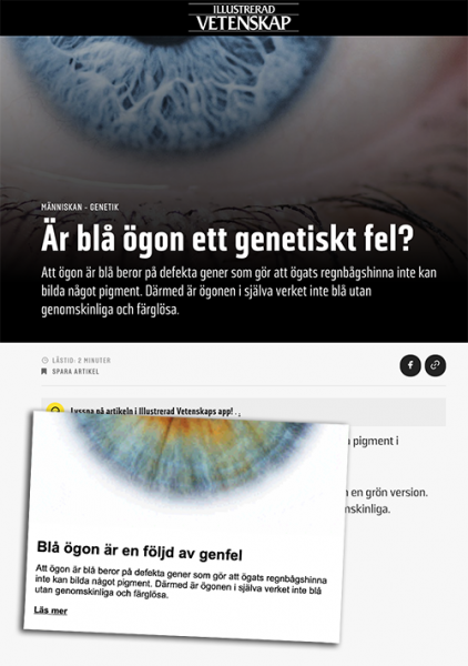 "Blå ögon är en följd av genfel", enligt Illustrerad Vetenskap. Skärmdumpar från tidningens artikel och nyhetsbrev.