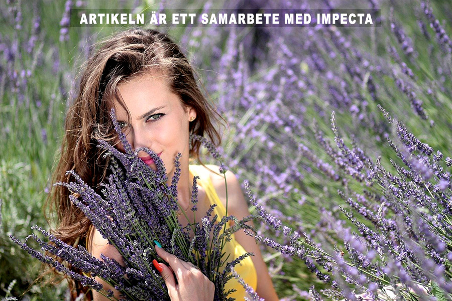 Lavendel och andra läkande växter. Foto: Adina Voicu. Licens: Pixabay.com