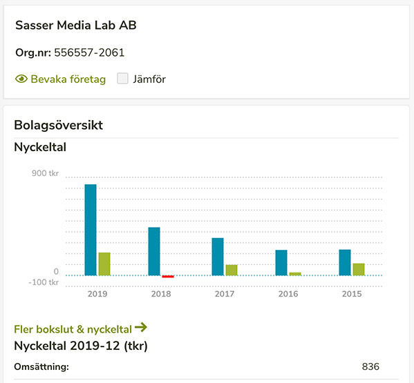 Nyckeltal för Sasser Media Lab AB (Newsvoice.se) tom 2019. Källa: Alla Bolag