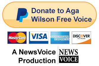 Donate Aga Wilson Button 1