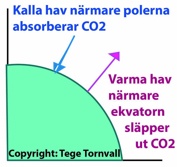 Haven samspelar med atmosfärens koldioxid. Illustration: Tege Tornvall