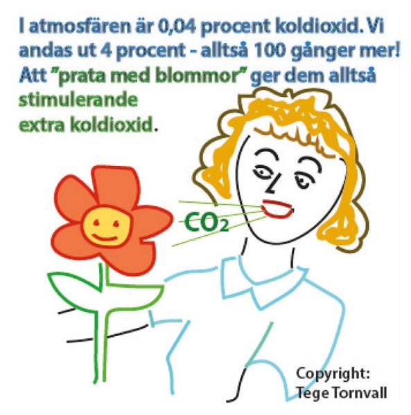 Prata med bloomor. Illustration: Tege Tornvall